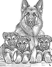 German Shepherd Coloring Page 10 - Full Page