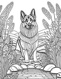 German Shepherd Coloring Page 5 - Full Page