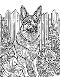German Shepherd Coloring Page 8 - Full Page