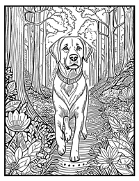 Labrador Retriever Coloring Page 9 With Border