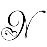 Monogram Letter N - 1