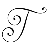 Monogram Letter T - 1