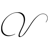 Monogram Letter V - 1