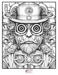 Monster Robots Steampunk

 Coloring Pages for Adults 2B