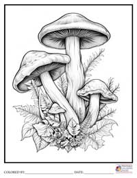 Mushroom Coloring Pages for Adults