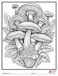 Mushroom Coloring Pages for Adults 5 - Colored By