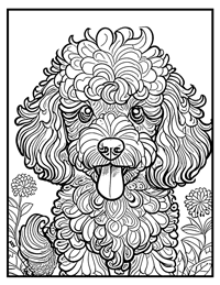 Poodle Coloring Pages for Adults and Teens
