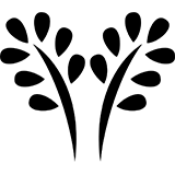 Wedding Program Clipart Graphic Design 116