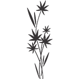 Wedding Program Clipart Graphic Design 136