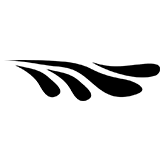 Wedding Program Clipart Graphic Design 35