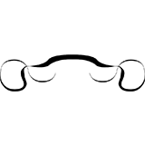 Wedding Program Clipart Graphic Design 39