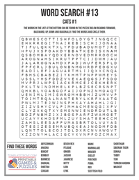 Word Search Printable #13