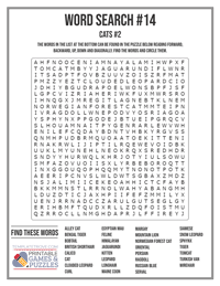 Word Search Printable #14